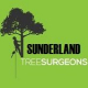 Tree Surgeons Sunderland