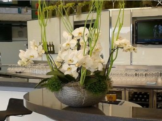 Quartz Worktops Warrington